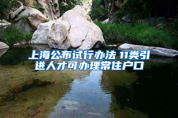 上海公布试行办法　11类引进人才可办理常住户口