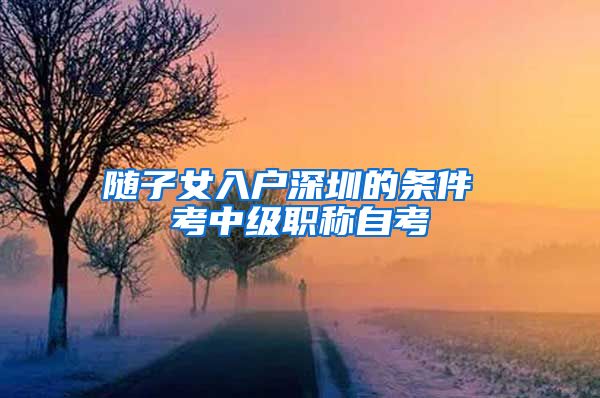 随子女入户深圳的条件 考中级职称自考