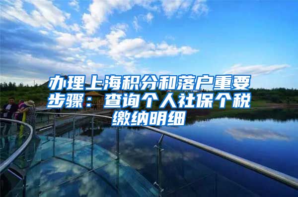 办理上海积分和落户重要步骤：查询个人社保个税缴纳明细