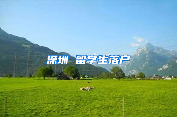 深圳 留学生落户