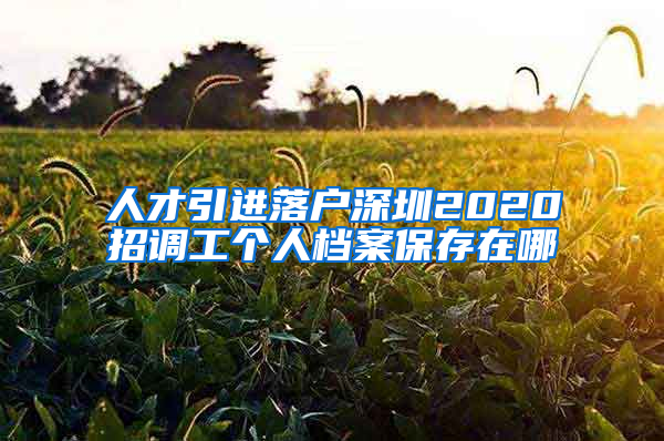 人才引进落户深圳2020招调工个人档案保存在哪