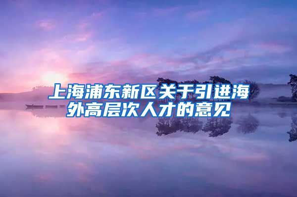 上海浦东新区关于引进海外高层次人才的意见