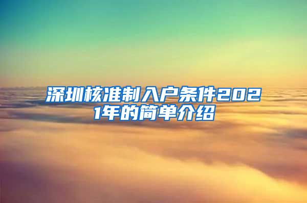 深圳核准制入户条件2021年的简单介绍