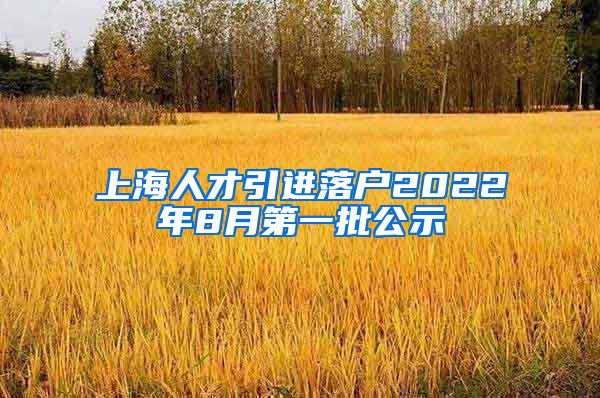 上海人才引进落户2022年8月第一批公示