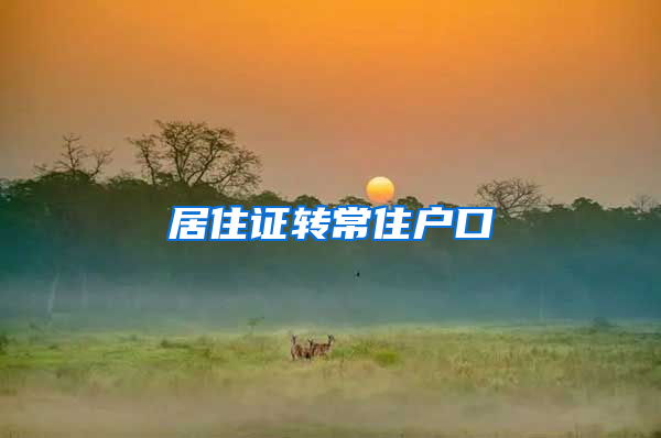 居住证转常住户口