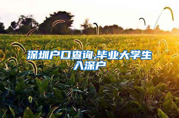 深圳户口查询,毕业大学生入深户