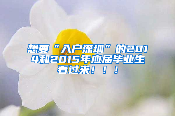 想要“入户深圳”的2014和2015年应届毕业生看过来！！！