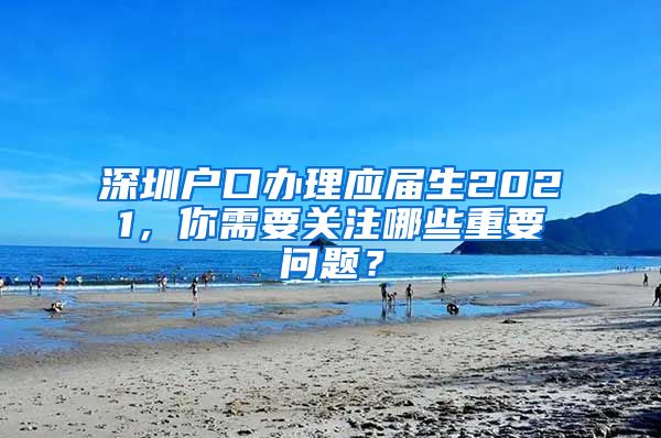 深圳户口办理应届生2021，你需要关注哪些重要问题？