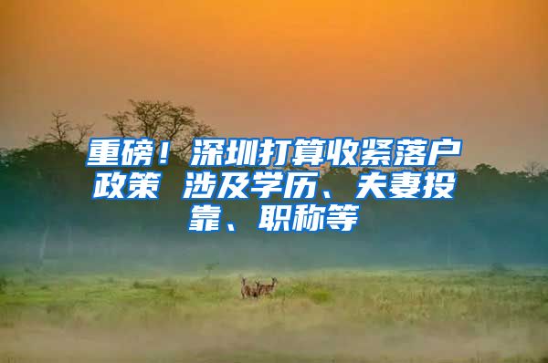 重磅！深圳打算收紧落户政策 涉及学历、夫妻投靠、职称等