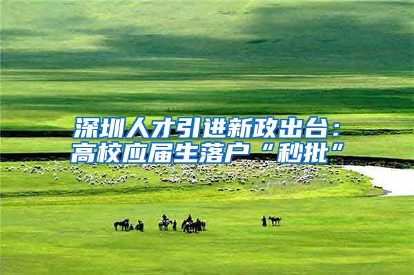深圳人才引进新政出台：高校应届生落户“秒批”