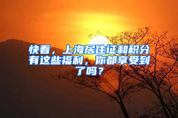 快看，上海居住证和积分有这些福利，你都享受到了吗？