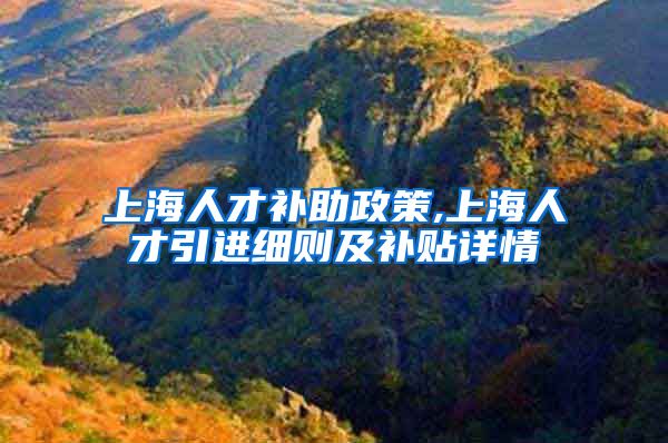 上海人才补助政策,上海人才引进细则及补贴详情