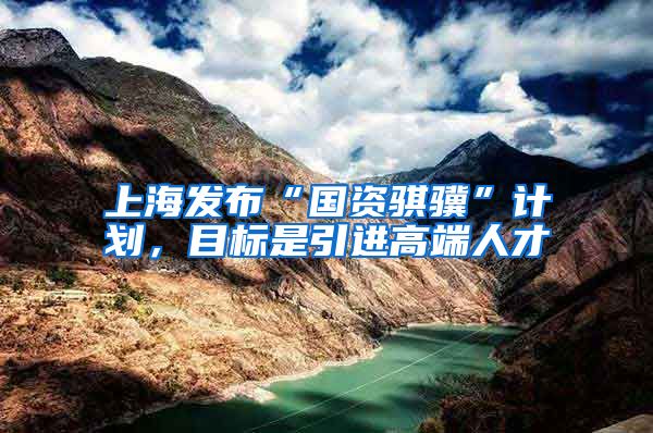 上海发布“国资骐骥”计划，目标是引进高端人才