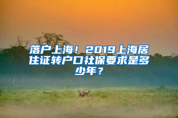 落户上海！2019上海居住证转户口社保要求是多少年？
