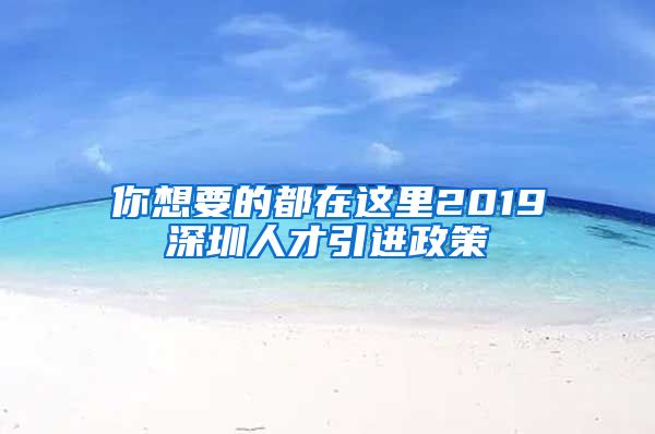 你想要的都在这里2019深圳人才引进政策