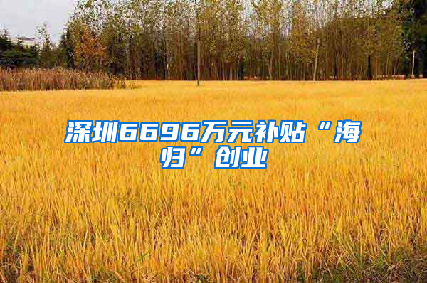 深圳6696万元补贴“海归”创业