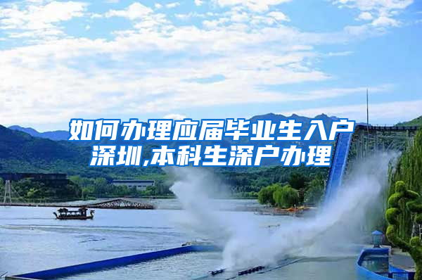 如何办理应届毕业生入户深圳,本科生深户办理