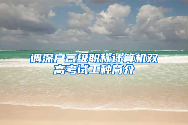 调深户高级职称计算机双高考试工种简介