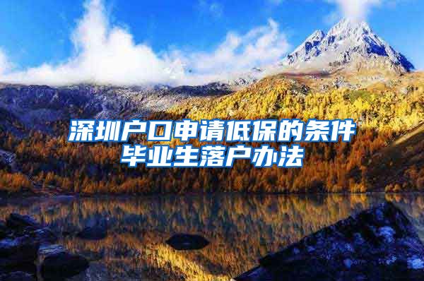 深圳户口申请低保的条件毕业生落户办法