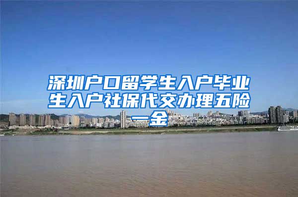 深圳户口留学生入户毕业生入户社保代交办理五险一金