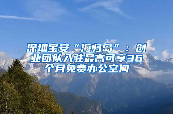 深圳宝安“海归岛”：创业团队入驻最高可享36个月免费办公空间