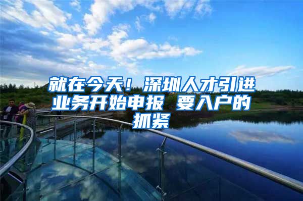 就在今天！深圳人才引进业务开始申报 要入户的抓紧