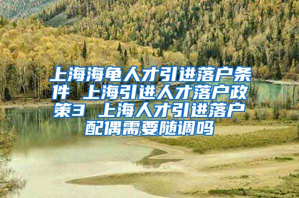 上海海龟人才引进落户条件 上海引进人才落户政策3 上海人才引进落户配偶需要随调吗