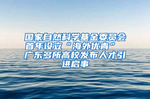 国家自然科学基金委员会首年设立“海外优青” 广东多所高校发布人才引进启事
