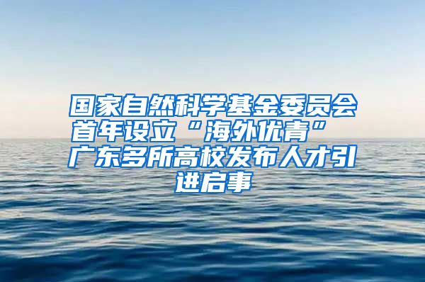 国家自然科学基金委员会首年设立“海外优青” 广东多所高校发布人才引进启事