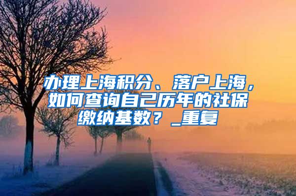 办理上海积分、落户上海，如何查询自己历年的社保缴纳基数？_重复