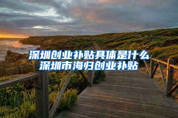 深圳创业补贴具体是什么深圳市海归创业补贴