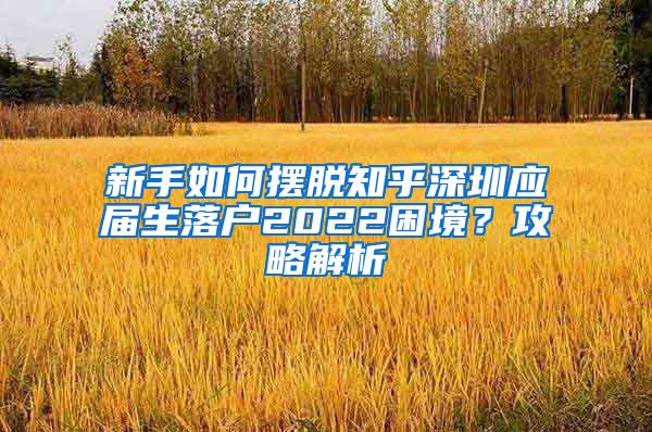 新手如何摆脱知乎深圳应届生落户2022困境？攻略解析