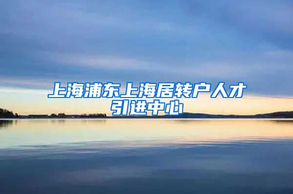 上海浦东上海居转户人才引进中心