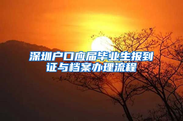 深圳户口应届毕业生报到证与档案办理流程