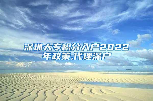 深圳大专积分入户2022年政策,代理深户