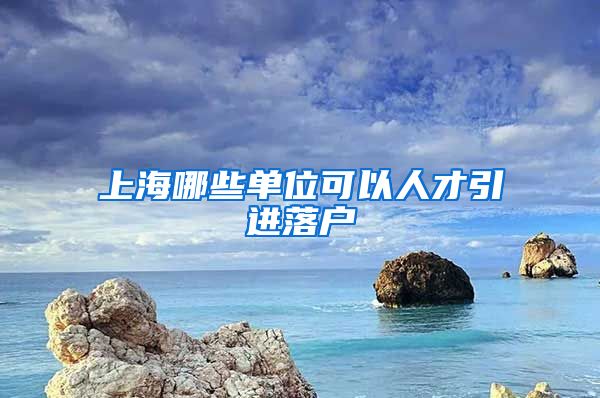 上海哪些单位可以人才引进落户