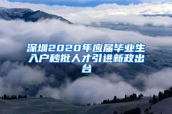 深圳2020年应届毕业生入户秒批人才引进新政出台