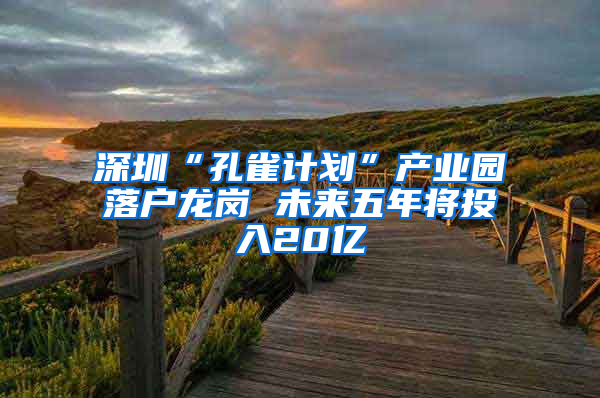 深圳“孔雀计划”产业园落户龙岗 未来五年将投入20亿