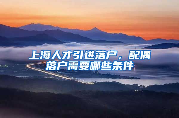 上海人才引进落户，配偶落户需要哪些条件