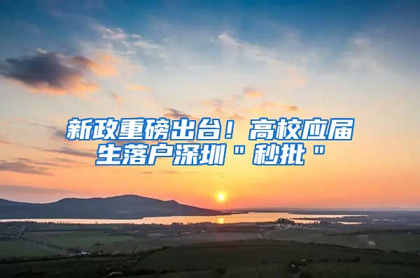 新政重磅出台！高校应届生落户深圳＂秒批＂