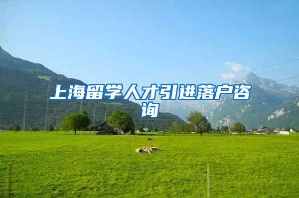 上海留学人才引进落户咨询