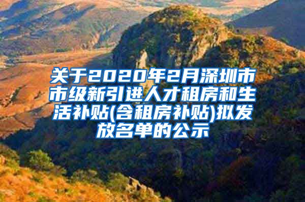 关于2020年2月深圳市市级新引进人才租房和生活补贴(含租房补贴)拟发放名单的公示