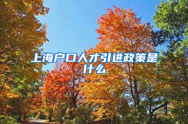 上海户口人才引进政策是什么