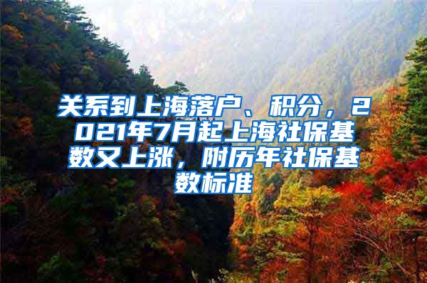 关系到上海落户、积分，2021年7月起上海社保基数又上涨，附历年社保基数标准