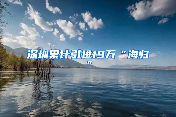 深圳累计引进19万“海归”