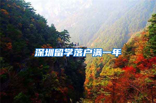 深圳留学落户满一年