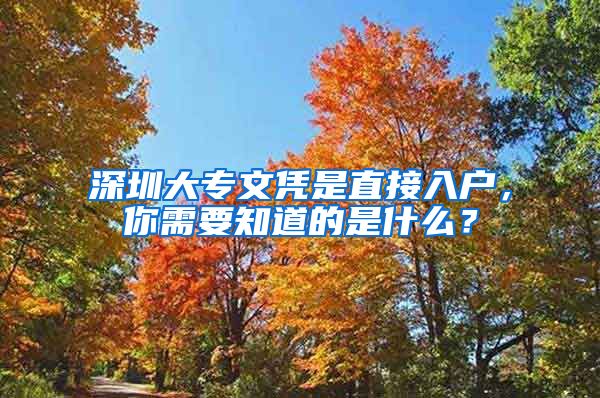 深圳大专文凭是直接入户，你需要知道的是什么？