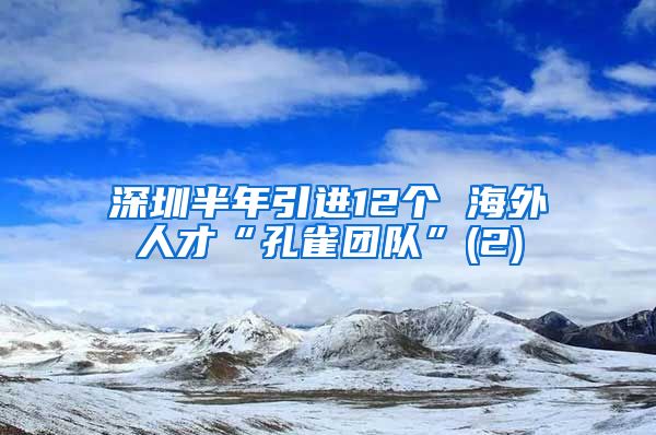 深圳半年引进12个 海外人才“孔雀团队”(2)