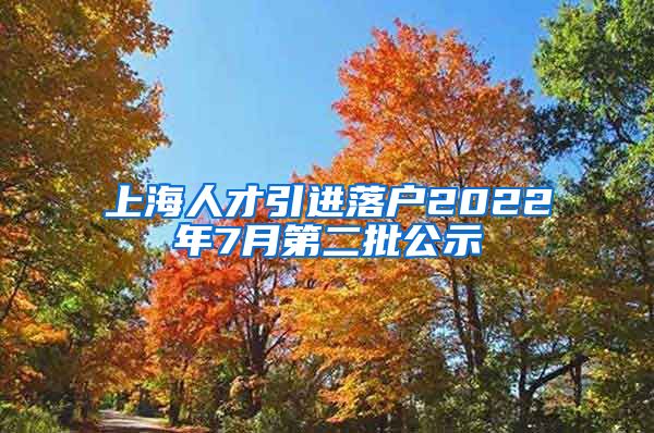 上海人才引进落户2022年7月第二批公示