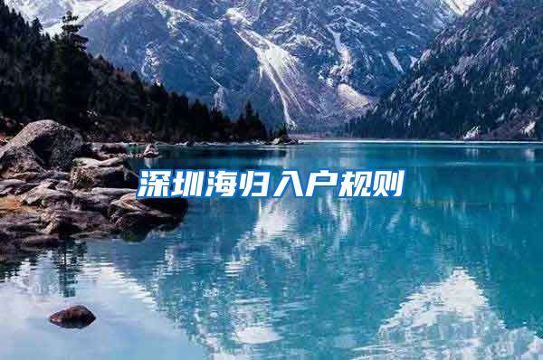 深圳海归入户规则
